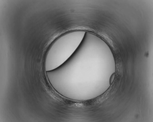 X0000095960159200801110954