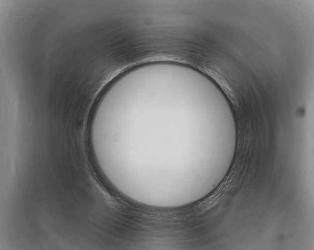 X0000095960160200801110954