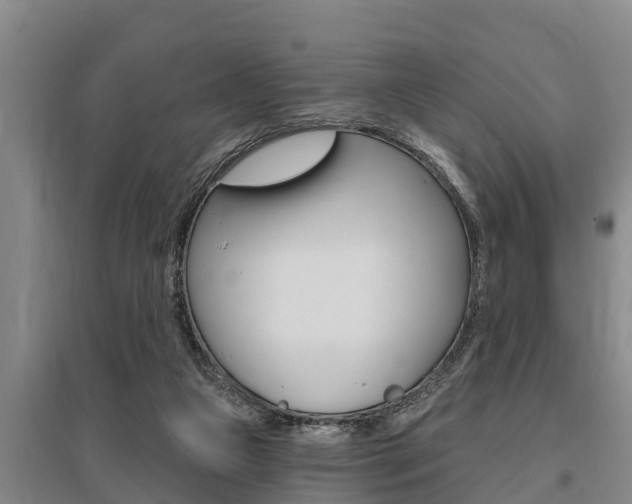X0000095960161200801110954