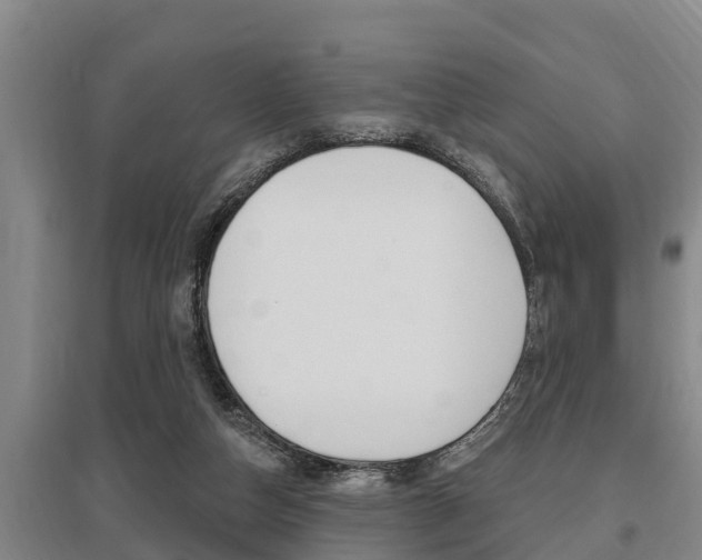 X0000095960162200801110954