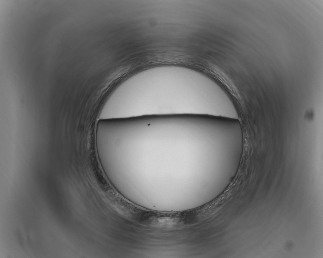 X0000095960163200801110954