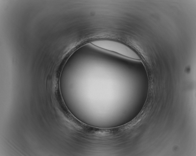 X0000095960164200801110954