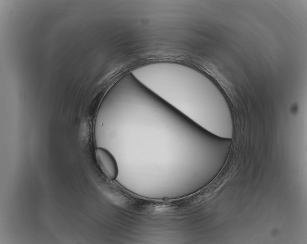 X0000095960165200801110954