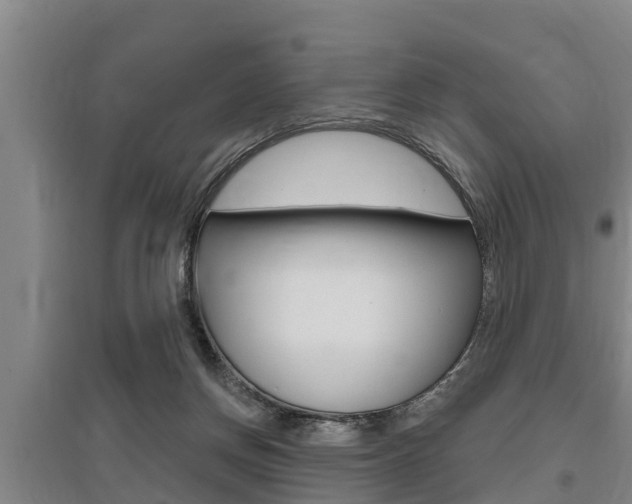 X0000095960166200801110954