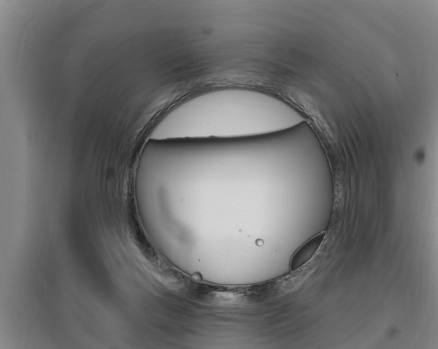 X0000095960167200801110954