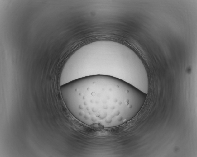 X0000095960169200801110954