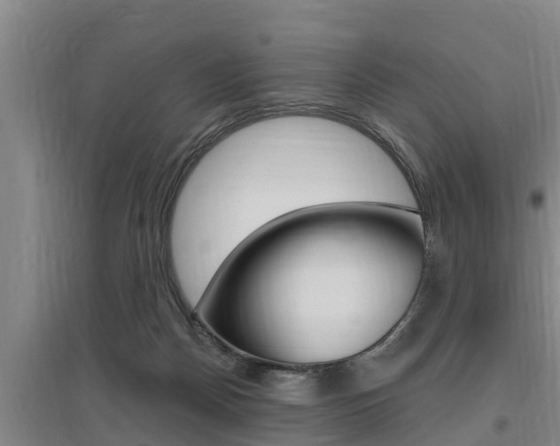 X0000095960170200801110954