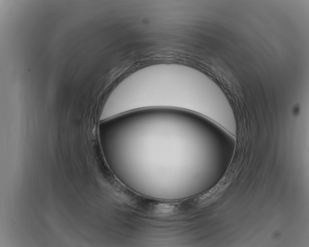 X0000095960176200801110954