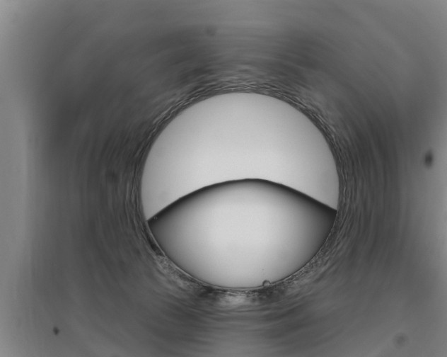 X0000095960177200801110954