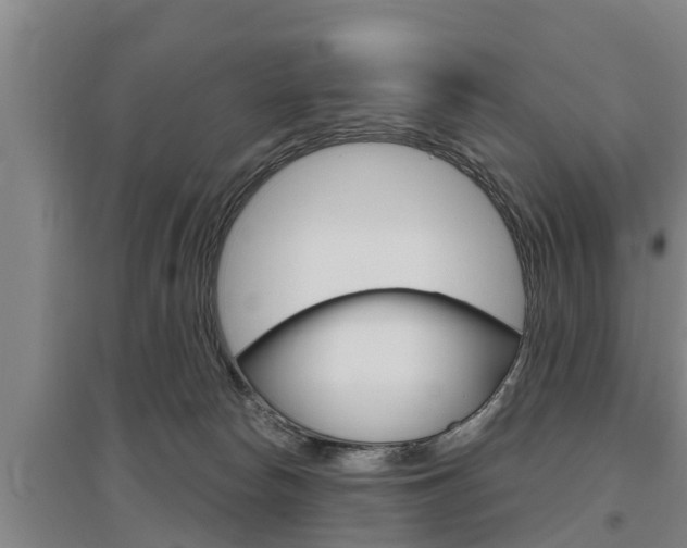 X0000095960178200801110954
