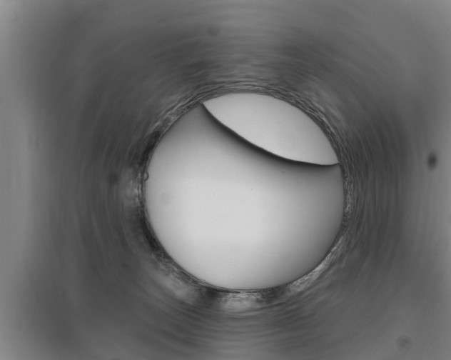 X0000095960179200801110954