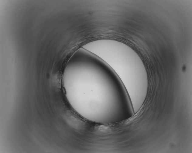X0000095960180200801110954