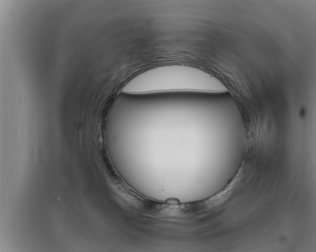 X0000095960182200801110954
