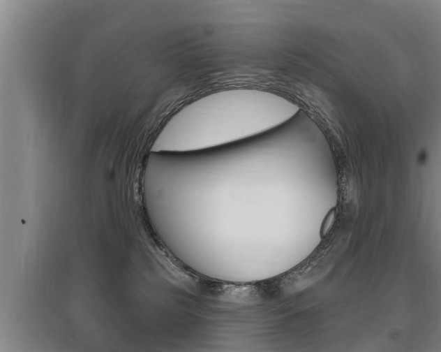 X0000095960185200801110954