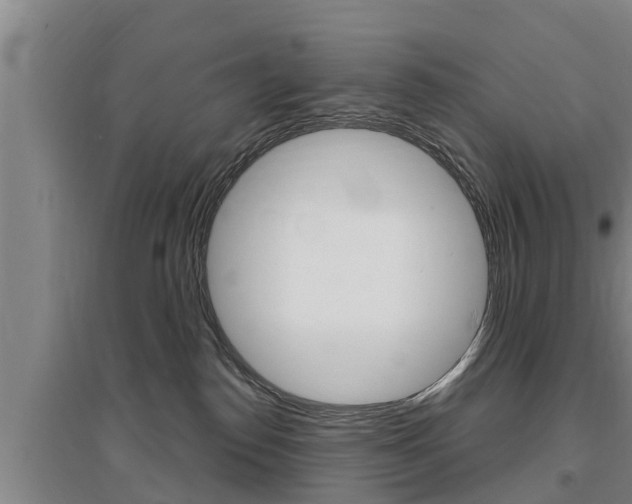 X0000095960186200801110954