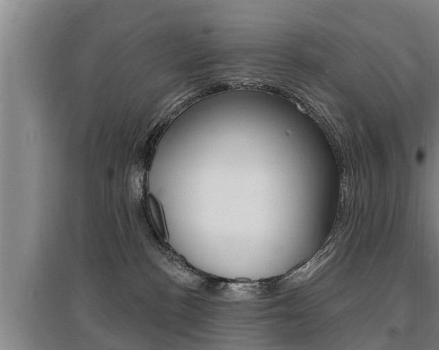 X0000095960188200801110954