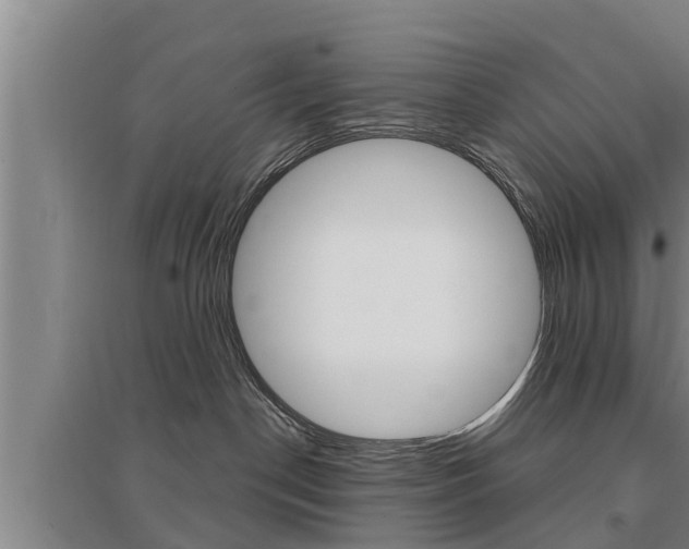 X0000095960190200801110954