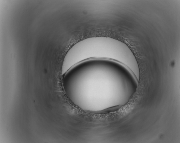 X0000095960192200801110955