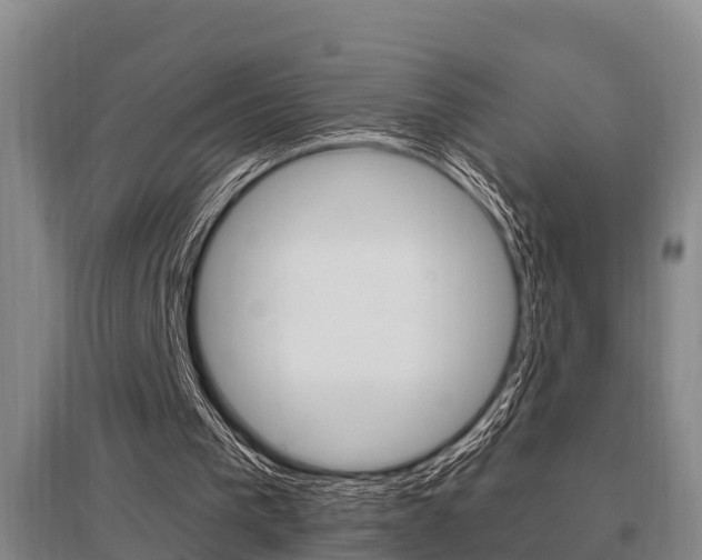 X0000095960193200801110954