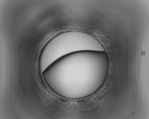 X0000095960194200801110954