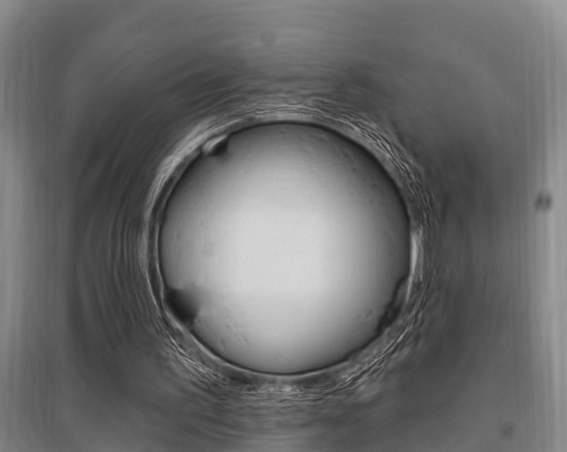 X0000095960195200801110954