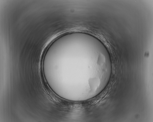 X0000095960196200801110954