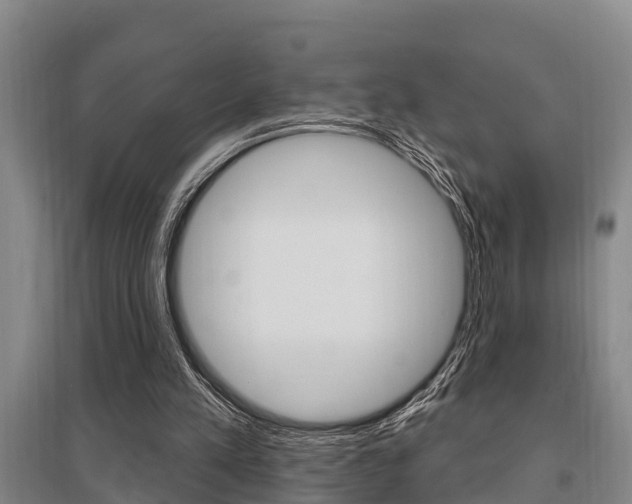 X0000095960197200801110954