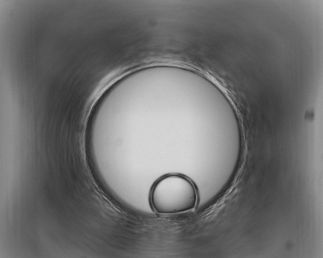 X0000095960199200801110954