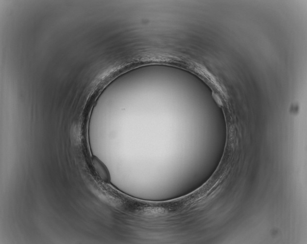 X0000095960203200801110954