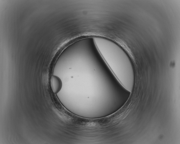 X0000095960204200801110954