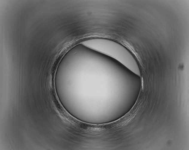 X0000095960205200801110954