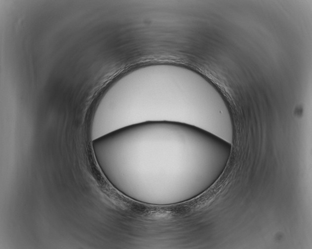 X0000095960206200801110954