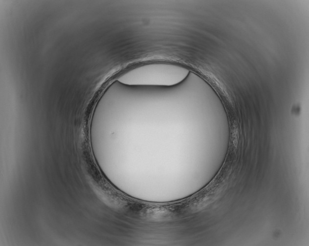 X0000095960208200801110954