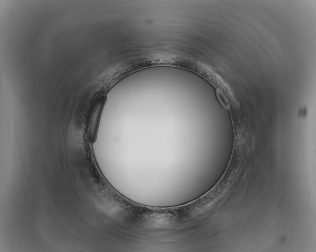 X0000095960209200801110954