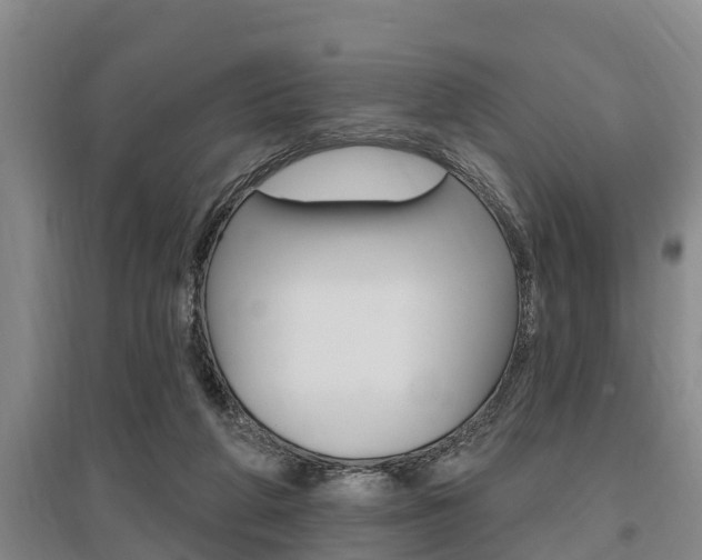 X0000095960210200801110953