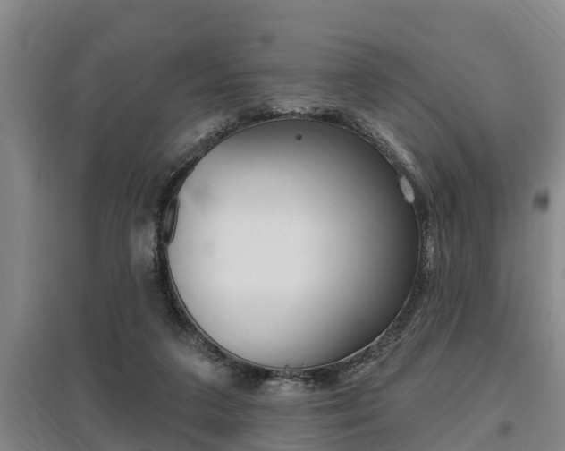 X0000095960211200801110953