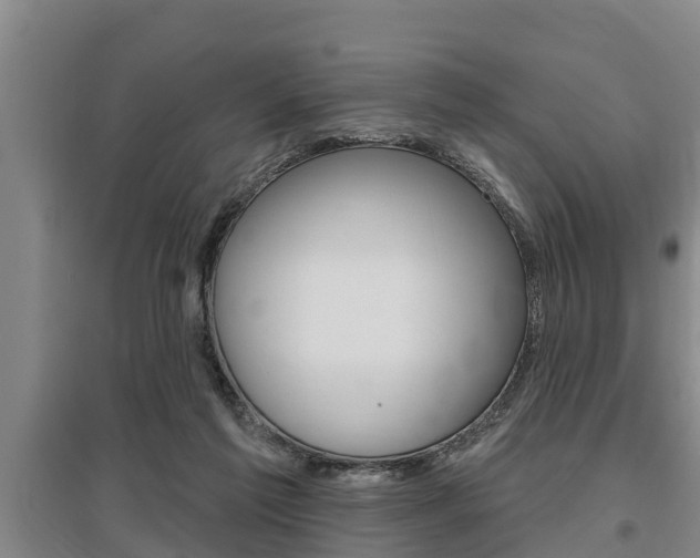 X0000095960213200801110953