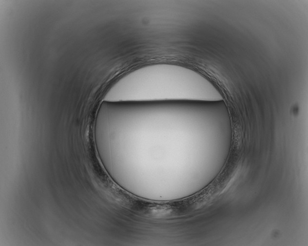 X0000095960214200801110953