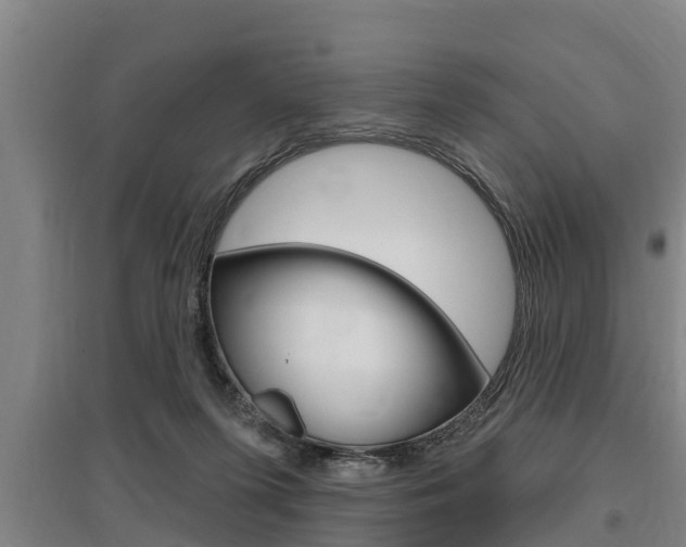 X0000095960215200801110953