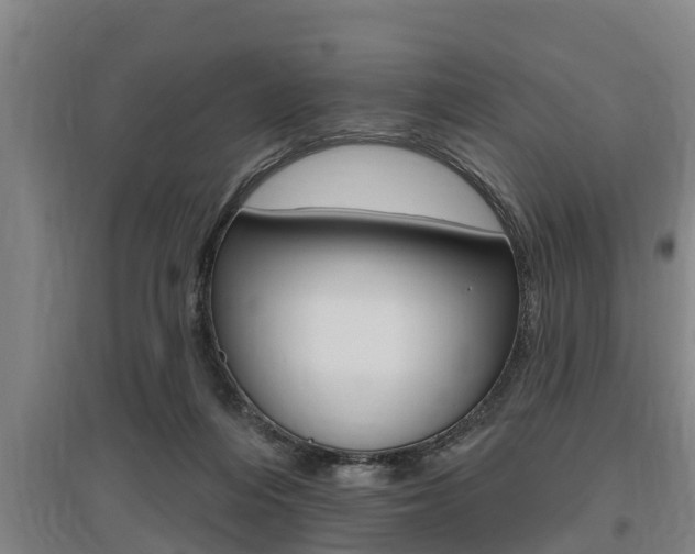 X0000095960216200801110953