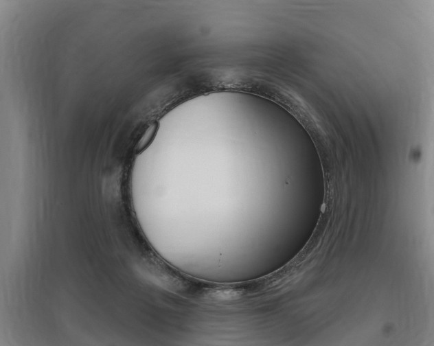 X0000095960217200801110953