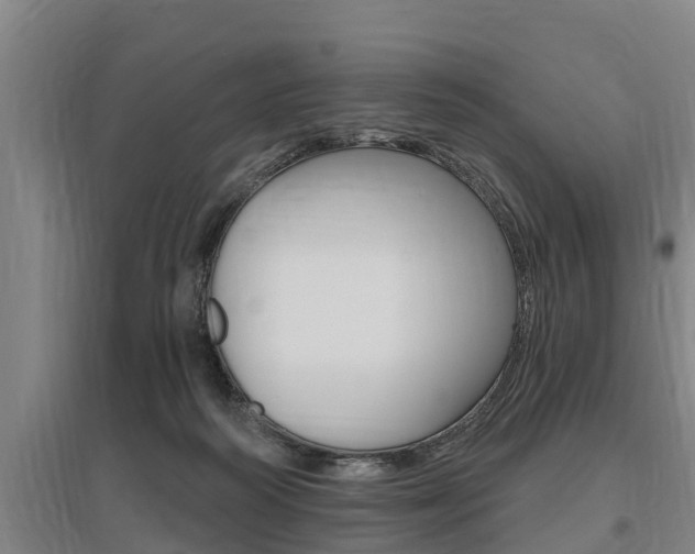 X0000095960218200801110953