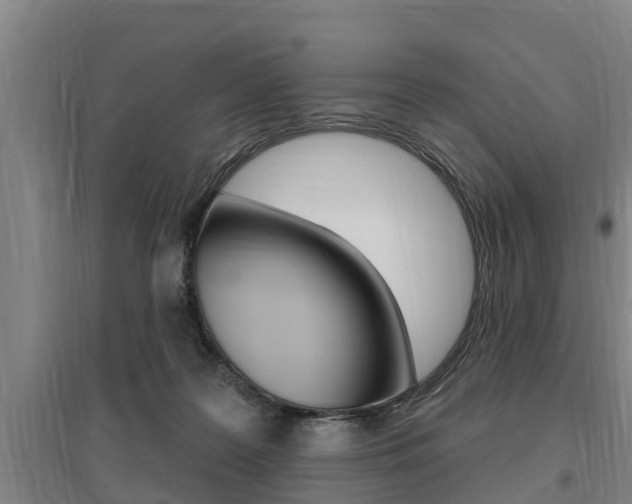 X0000095960219200801110953