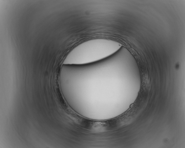 X0000095960222200801110953