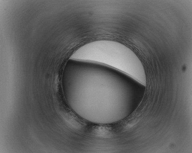 X0000095960223200801110953
