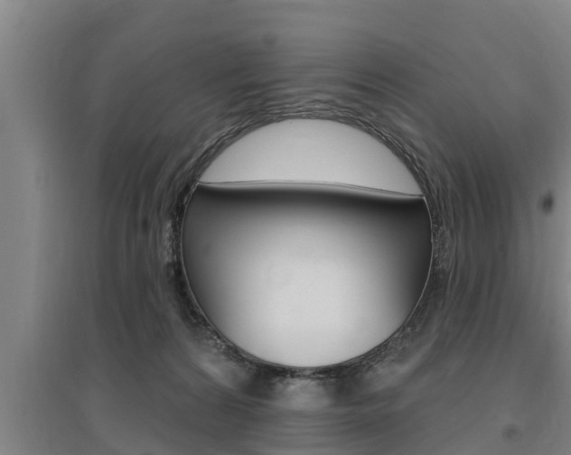 X0000095960224200801110953