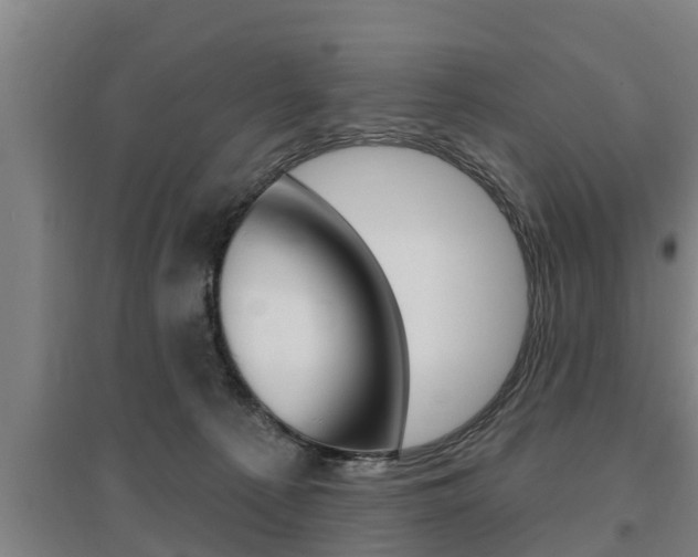 X0000095960225200801110953