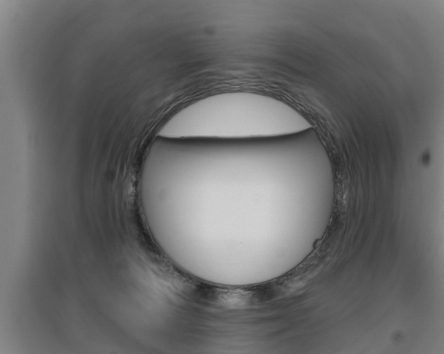 X0000095960226200801110953