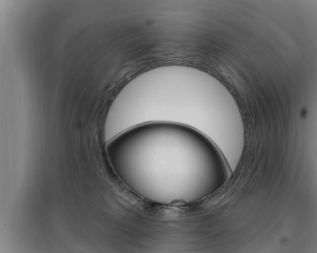 X0000095960229200801110953