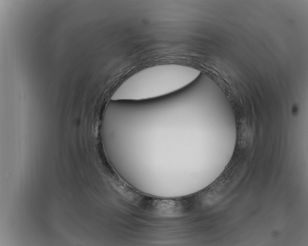 X0000095960230200801110953